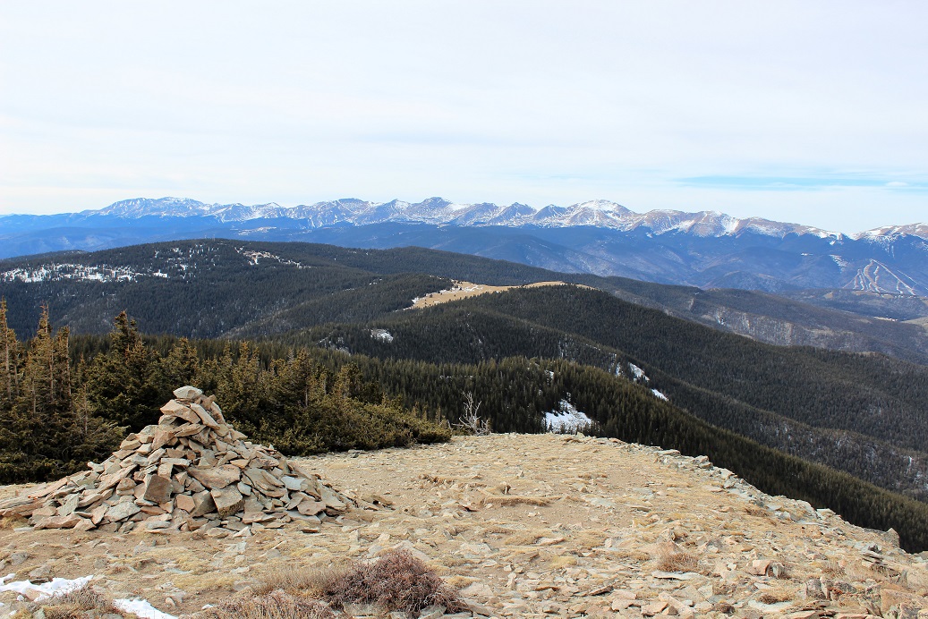 16 Meadow in the middle