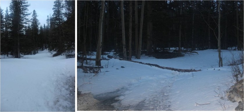 3 4WD road in morning