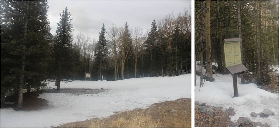 5 Upper trailhead and register