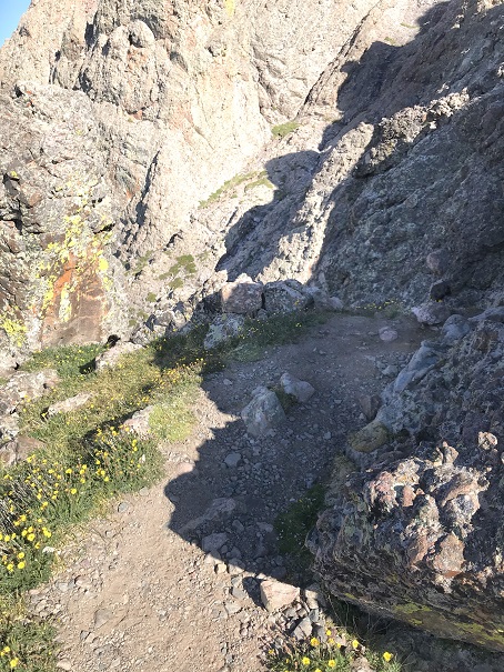 13 trail stops IMG_7092