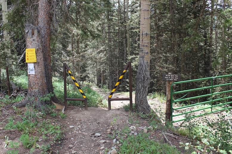 4 Trailhead Wilson Peak 14017 034