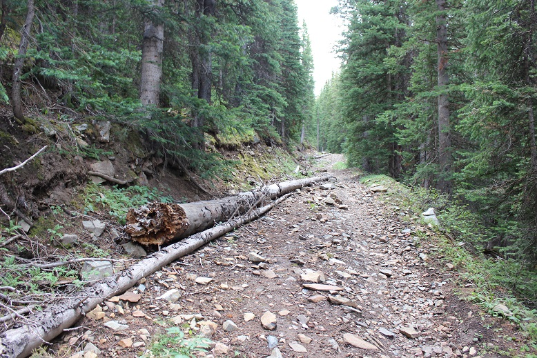 5 Begining of Trail Wilson Peak 14017 022