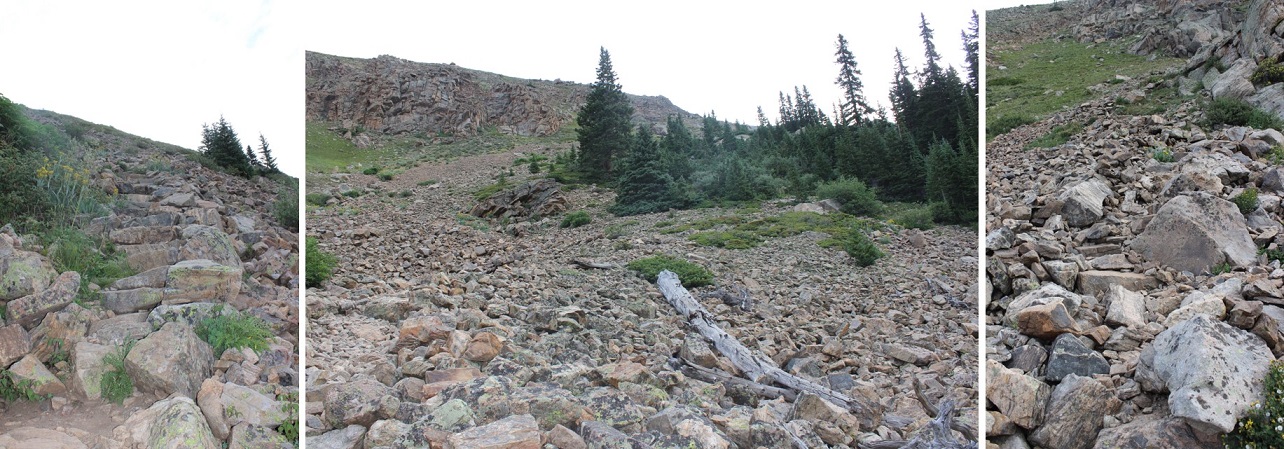 9 Talus Well Maintained