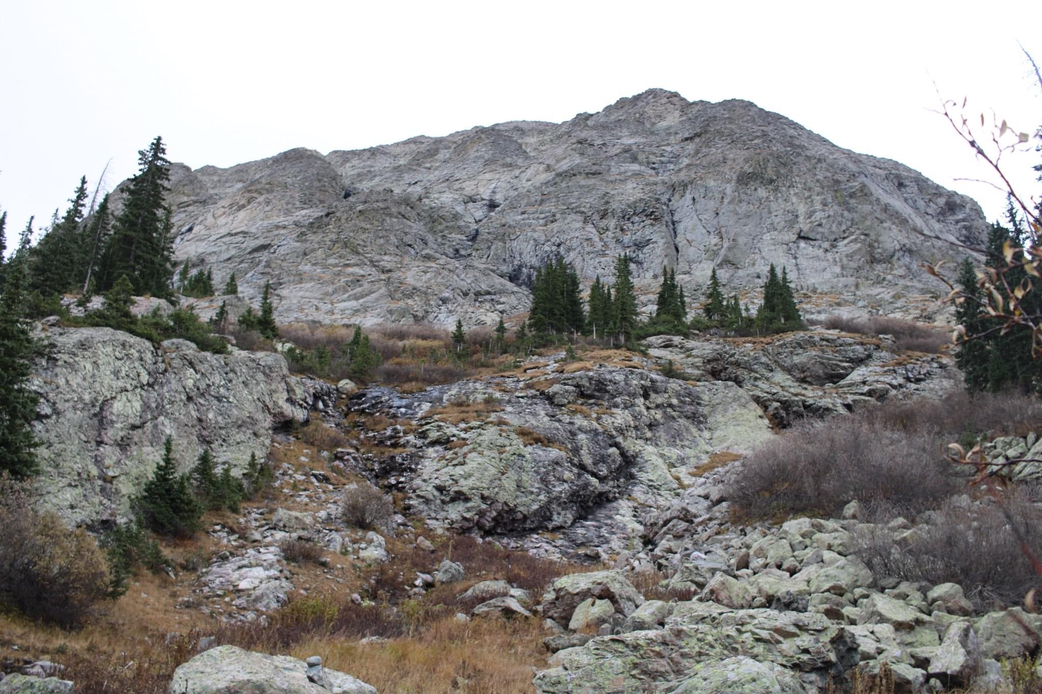 PT 13028 – Wild Wanderer