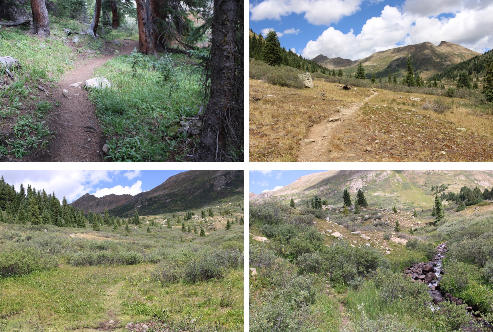 PT 13220 and PT 13291 – Wild Wanderer