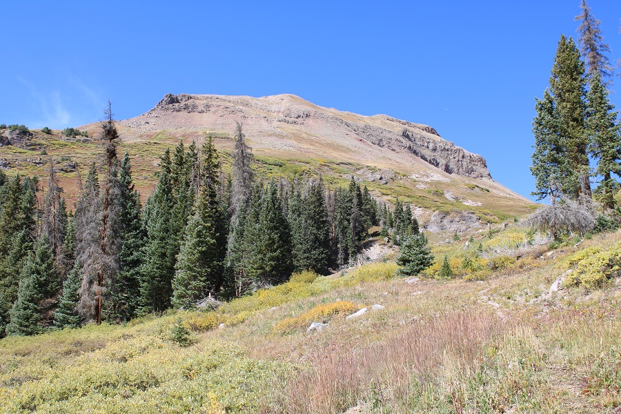 PT 13313 and PT 13207 – Wild Wanderer