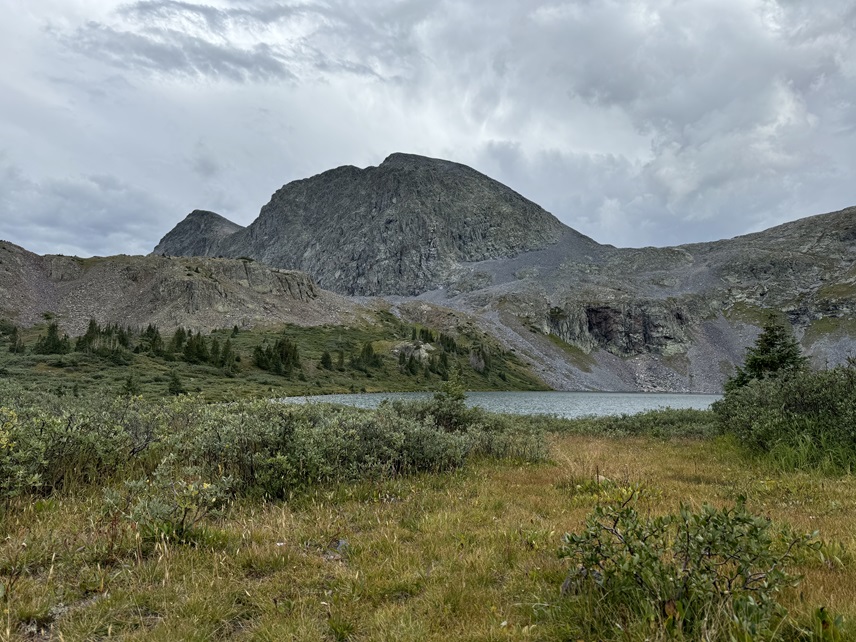 PT 13323 and PT 13350 – Wild Wanderer