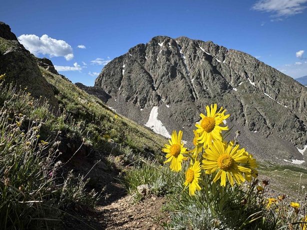 West Needle Mountain – 13,060 – Wild Wanderer