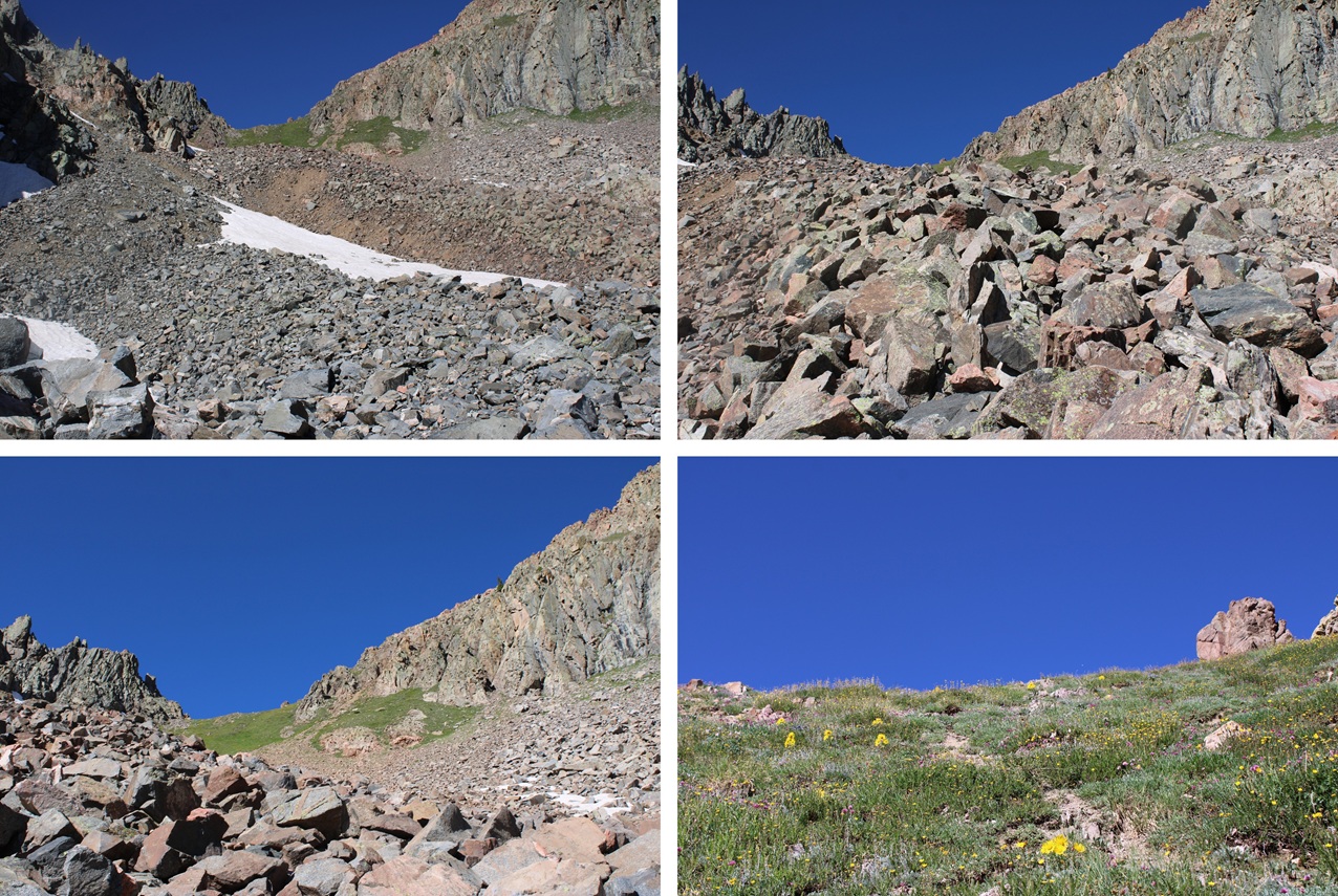 West Needle Mountain – 13,060 – Wild Wanderer