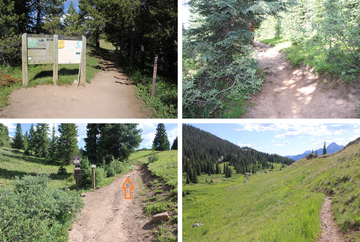 West Needle Mountain – 13,060 – Wild Wanderer