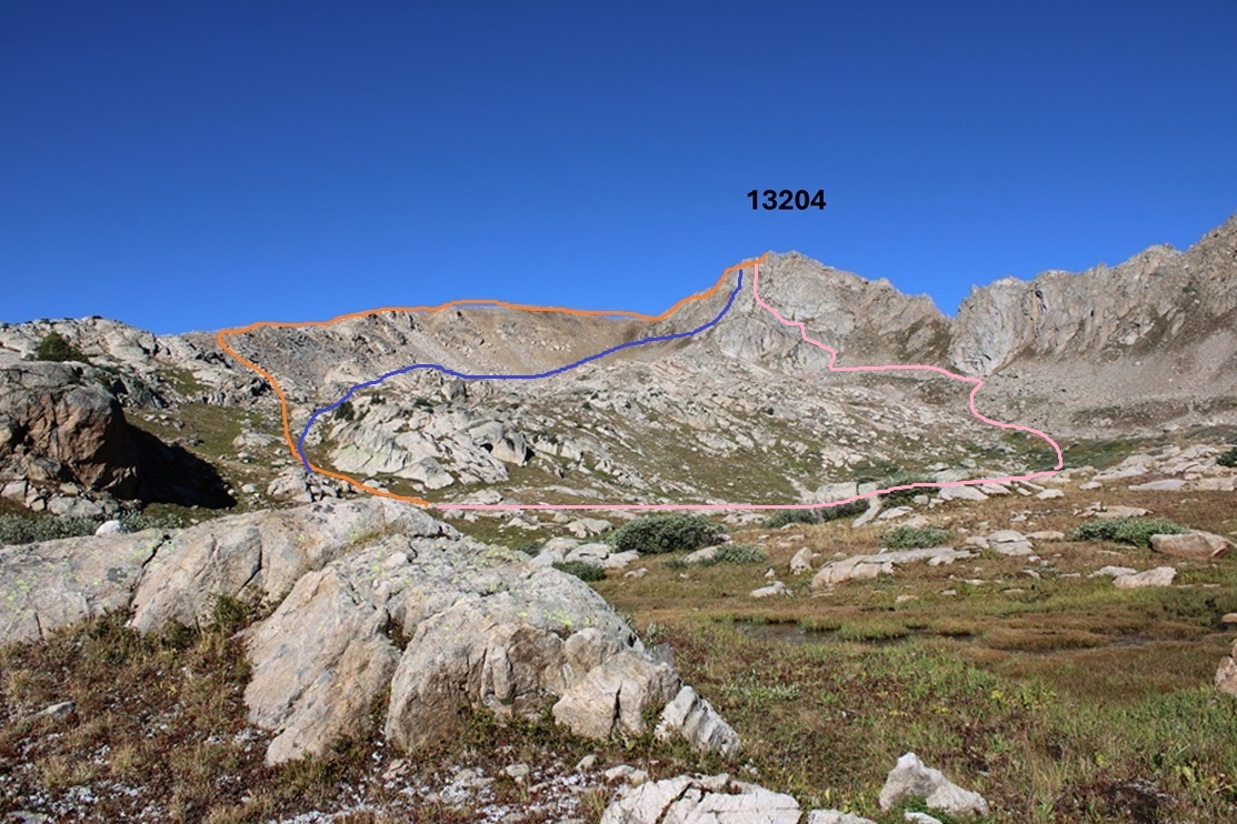 PT 13204 – Wild Wanderer