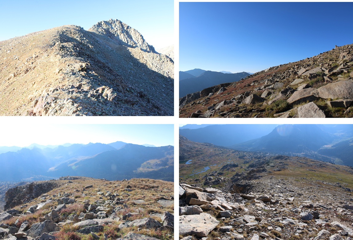 PT 13204 – Wild Wanderer