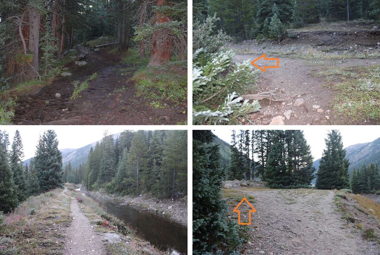 PT 13204 – Wild Wanderer PT 13204 – Wild Wanderer