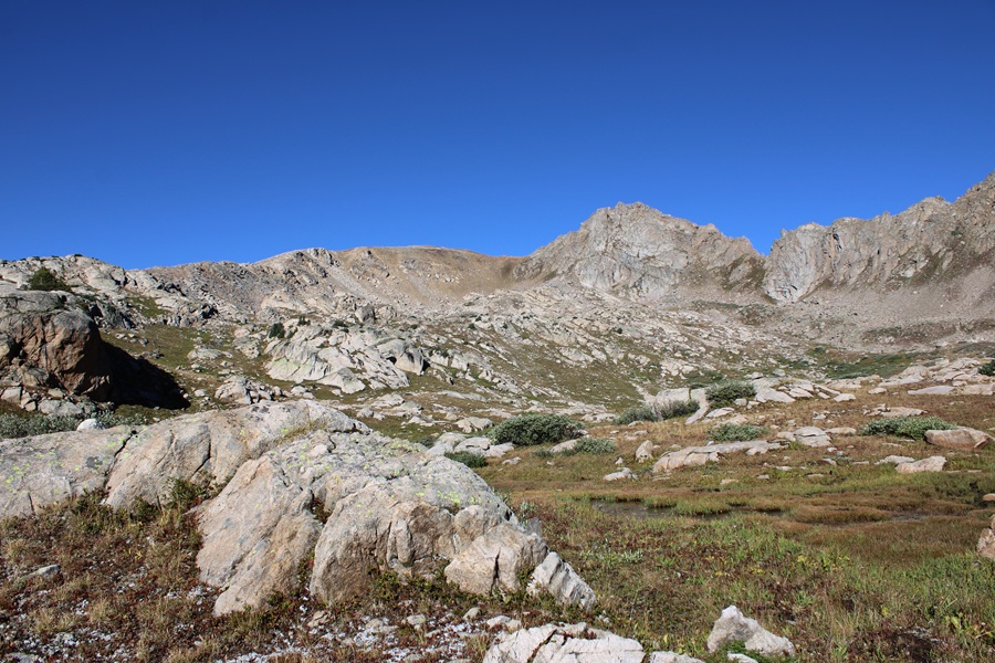 PT 13204 – Wild Wanderer